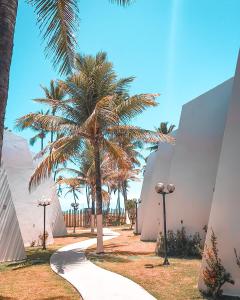 萨尔瓦多Pitaya Beach House - Charming Village By the Sea的一座棕榈树,在建筑旁边的人行道上