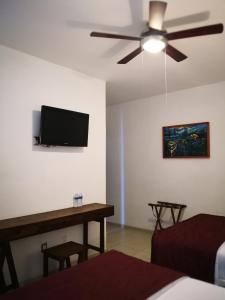 乌鲁阿潘HOTEL MI SOLAR EJECUTIVO的客厅的墙上配有平面电视。