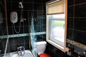 斯特灵Loch Arklet House的一间带卫生间、水槽和窗户的浴室