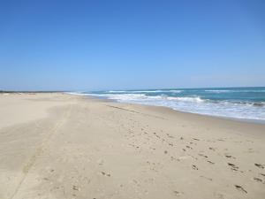 吉诺萨滨海Case Sangiorgio的沙滩和海洋中的一个足迹