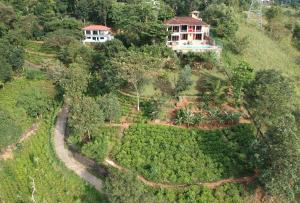 佩勒代尼耶Lotus Villa Kandy的山丘上房屋的空中景致