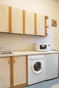 希奥利艾Pigi nakvyne的厨房配有洗衣机和微波炉。