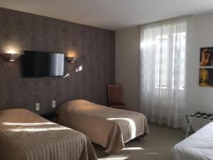 巴伯济约Hôtel Restaurant La Boule d'Or的酒店客房设有两张床和一台墙上的电视。