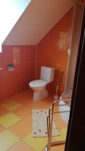 Veľké ČaníkovcePenzión Ranč Šenkvice的红色墙壁上带卫生间的浴室
