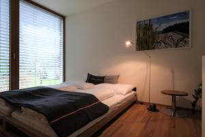 卢斯特瑙Ferienhaus S11 Lustenau的一间卧室设有一张床和一个大窗户
