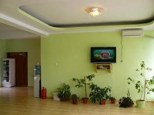 杜博瓦乡卡巴那德尔芬诺尔旅馆的一间种植了盆栽植物的房间和墙上的电视