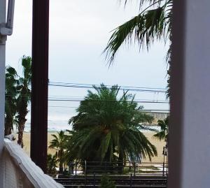 罗达德瓦拉ENCANTADOR apartamento frente a la playa de Bara的棕榈树客房可欣赏海滩景色