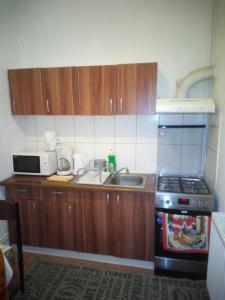 锡比乌Alex-Gabriel的厨房配有木制橱柜、水槽和炉灶。