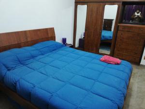 卡坦扎罗A casa di marcello的一间卧室配有蓝色的床和镜子