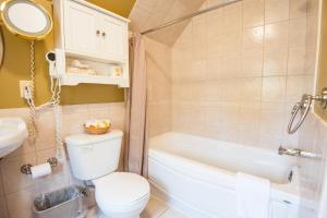 夏洛特顿邓迪阿姆斯旅店的浴室配有卫生间、浴缸和水槽。