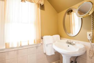 夏洛特顿邓迪阿姆斯旅店的一间带水槽和镜子的浴室