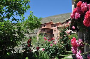 阿尔巴拉辛拉卡萨德尔提奥亚美利卡诺酒店的一座花园,在一座建筑前有玫瑰