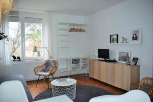布达佩斯Gellért Hill Apartment的客厅配有沙发和书桌及电视