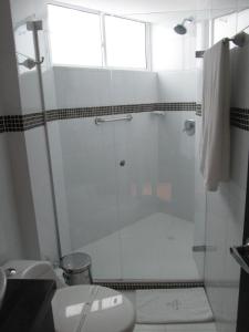 巴耶杜帕尔格兰德大道精品酒店的带淋浴、卫生间和盥洗盆的浴室