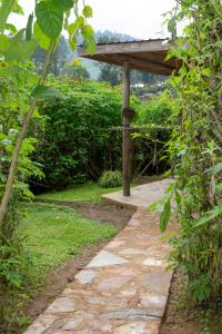 RubuguliKarungi Camp的花园中带木凉棚的步道