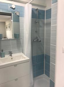 波尔托罗Apartment Portorose的一间带水槽和淋浴的浴室