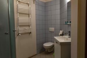 博格泽利卡Pensjonat i Restauracja Laguna的一间带卫生间和水槽的小浴室
