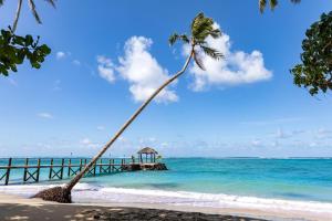 Matatufu萨了托加金沙度假酒店及水疗中心的海滩上的棕榈树,带有码头