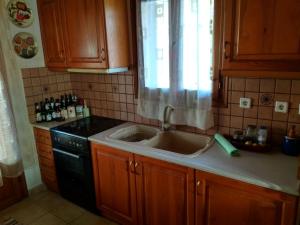 加拉希德松Cosy house in Galaxidi的厨房设有水槽和窗户。