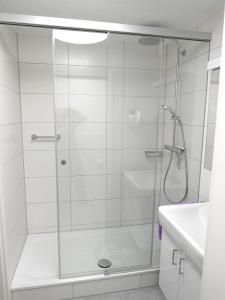 梅尔斯堡Ferienwohnung im Atelierhaus的浴室里设有玻璃门淋浴