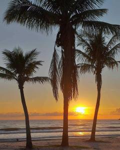 瓜拉图巴Stela Maris的日落时分海滩上的两棵棕榈树