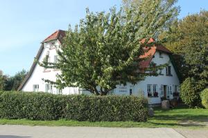 米德尔哈根阿尔特雷德韦兹旅馆的前面有一棵树的白色房子