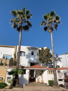 埃尔哈豪拉Aux Moules de Harhoura Rabat的一座棕榈树掩映的白色房子