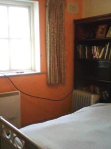 基尔肯尼Harmony Hall Veganic的一间卧室设有橙色墙壁、一张床和一个窗户