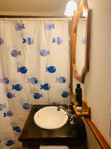 乌斯怀亚Casa en Ushuaia的一间带水槽和淋浴帘的浴室