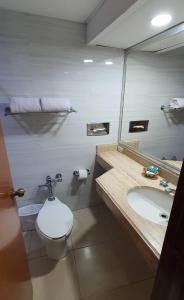 库利亚坎Hotel el Mayo Inn的一间带卫生间、水槽和镜子的浴室