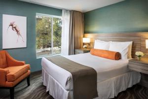 圣地亚哥小意大利波尔图维斯塔酒店的卧室配有床、椅子和窗户。