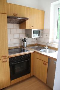 布劳恩拉格温贝布里克公寓的厨房配有黑炉和水槽。