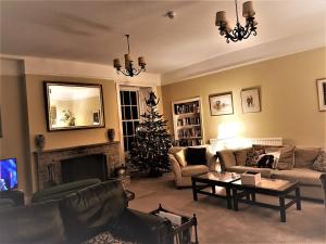阿尔斯通劳拜尔庄园乡村别墅酒店的客厅里放着圣诞树
