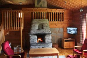库萨莫Niemen Lomat的小木屋内带壁炉的客厅