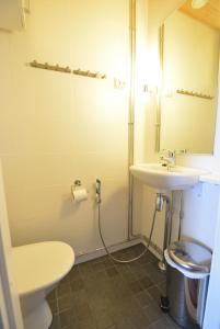 易拉斯加威Ylläshuiput的一间带水槽、卫生间和镜子的浴室