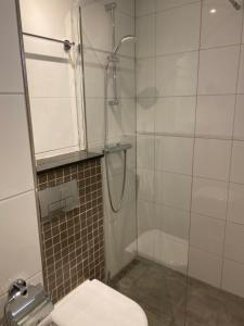 桑特普尔特北维曼酒店的一间带卫生间和玻璃淋浴间的浴室