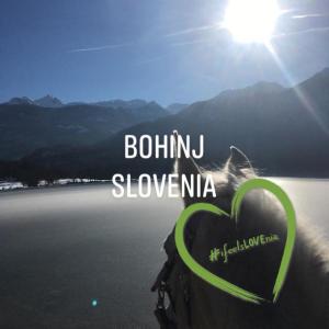 博希尼Učni ranč, Bohinj的湖前背着背包画的心