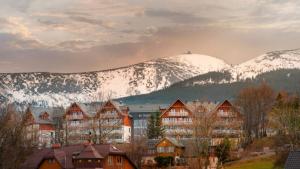 卡尔帕奇Apartament z widokiem.的一座有雪覆盖的山丘的小镇