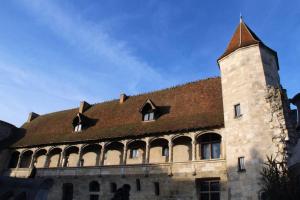 内拉克Les Gîtes du château - 2 Magnifiques Appartements face au château Henri IV的相册照片