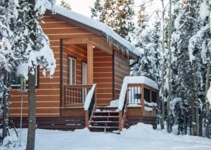希利Denali Wild Stay - Moose Cabin, Free Wifi, 2 private bedrooms, sleep 6的雪地树林中的小木屋