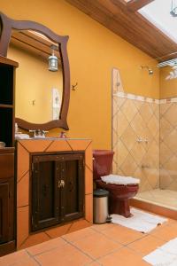Aguas ClarasMalekus Mountain Lodge的一间带卫生间、水槽和镜子的浴室