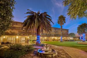 威特班克ANEW Hotel Witbank Emalahleni的享有棕榈树和喷泉的酒店外部景色