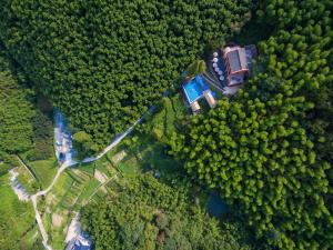 德清莫干山尚坡度假别墅的森林中间房屋的空中景观