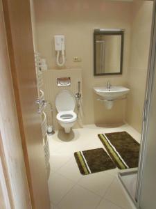 劳耶克特普利采恩奇安酒店的一间带卫生间和水槽的小浴室