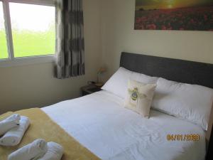 达特茅斯BUMBLEBEE的一间卧室配有一张带白色床单的床和一扇窗户。