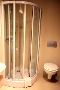 多姆扎莱氛围酒店的带淋浴的浴室和卫生间