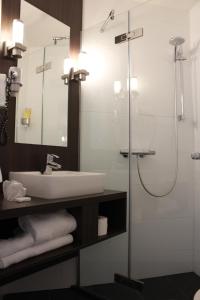 米德尔堡米德尔斯堡酒店的一间带水槽和淋浴的浴室