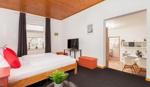 埃森卢哲巴赫酒店的一间卧室配有一张床、一台电视和一张桌子