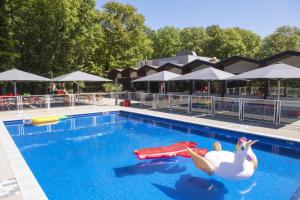 蒙沙南齐利亚蒙沙南勒克鲁佐酒店的水中一个有天鹅和浮动的游泳池