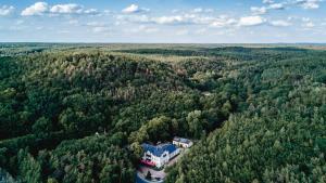 科斯维格赫斯特里切斯普兹格德穆酒店的森林中间房屋的空中景观
